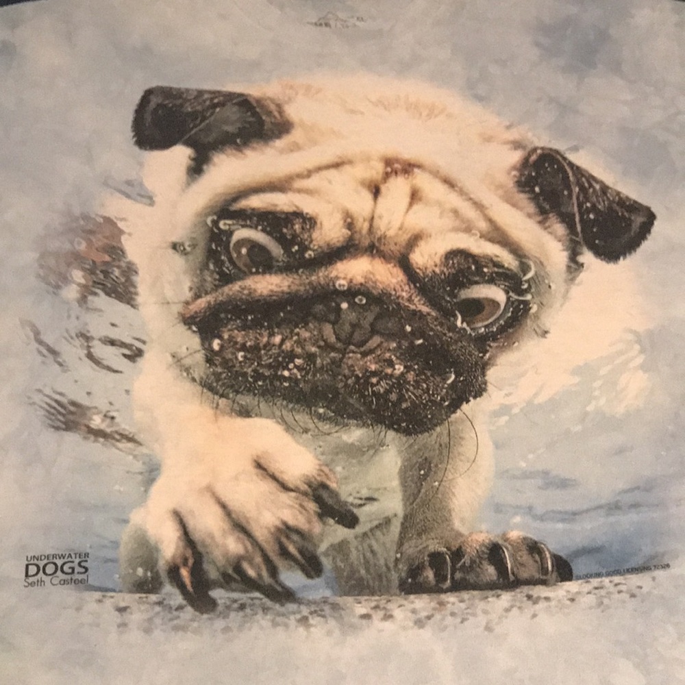 The Mountain Pug Dog Tee